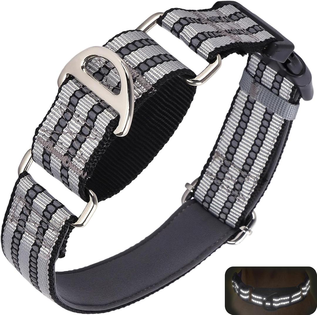 Reflective Martingale Collar for Large Dogs with Quick Release Buckle Adjustable Training, Walking, Hunting No Slip Collars,(Sliver L)