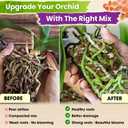 [Upgraded] DUSPRO Orchid Potting Mix for Repotting with Forest Moss, Pine Bark, Perlite & Pumice Natural Ingredients, Orchid Bark Potting Mix, Orchid Repotting Kit Drainage Indoor Potting Medium 2QT (EXP 12/31/26)