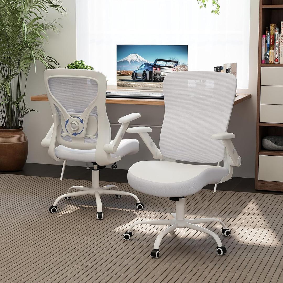 ralex-chair Ergonomic Office Chair with Adjustable Lumbar Support 350lbs, mid-back