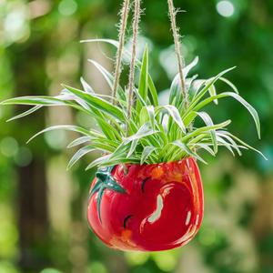 Cute Plant Pot - Funny Hanging Planter Gardening Gifts for Plant Lovers Women Mother House Warming - Smiley Red Planter for Indoor Outdoor