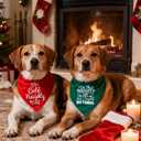 8 x Christmas Dog Bandanas Naughty & Nice Idea Funny Holiday Stocking Pet Scarf Gifts - On The Naughty List and I Regret Nothing, Solid Green, Extra Large Breed, 75lbs+