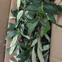 Bellacat Faux Olive Tree 6ftOlive Trees Artificial Indoor with Natural Wood Trunk and Realistic Leaves and Fruits. 6 Feet(72in) Fake Olive Tree for Home House Office Decor