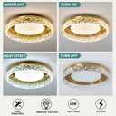 ZGLAOJT Gold Led Flush Mount Ceiling Light Modern 40w 3000k-6000k Light Fixture 15.7inch Bathroom Round Ceiling Lamp for Kitchen Bedroom Entryway Hallway Living Room.