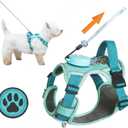 Dog Harness for Small Dogs up to 16lbs, 3-in-1 No Pull Lightweight Harness with 6.6ft Retractable,Wearable Leash Set,Front Clip,Handle,Reflective Dog Vest with Patch,Wrist Strap,Free Hand Leash-Blue