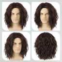 Mens Brown Curly Wig Short Heat Resistant Synthetic Male Wigs for Costume Party Cosplay Halloween Anime or Fun(14inch, Brown)