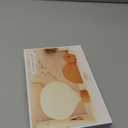 Hot Air Balloon Warm Night Light,Dimmable Touch Lamp for Bedroom,Portable Table Bedside Lamp,hot air Balloon Lantern Decor,1200 mAh Battery,Portable Camping Lamp for Outdoor,Bedroom,Party Decor