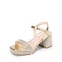 DREAM PAIRS Girls Sandals Open Toe Low Block Chunky Heels Sandals Party Dress Pumps Shoes for Little Big Kid,Size 2 Little Kid,Gold,KKUMHS2504