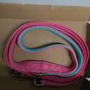 PHOEPET 5 Feet Dog Leash with Comfortable Padded Handle Easy Snap Clasp - Reflective Walking Lead for Large, Medium & Small Breed Dogs (Pink + Mint Green Base) (L(Width: 1"))