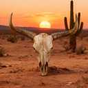 BKCEHCRS Cow Skull Wall Decor, Longhorn Wall Decor with Carved Details, Hand-Carved Authentic Taxidermy Cow Skull Bull Skull Wall Decor 27 * 25 * 10inch,Brown 1