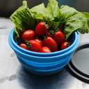 Mr. Peanut's Collapsible Silicone Camping Bowl with Lid & Foldable Fork