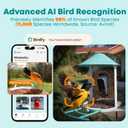 NETVUE by Birdfy Smart Bird Feeder with AI Camera, Auto Capture Videos & Motion Detection, Live Steam, Wireless Wildbird Watching, Outdoor Backyard Birder(AI by Subscription)