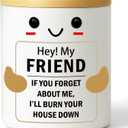 Best Friend Candle Gifts for Women Birthday Friend Cool Gag Gift for Her Best Friends, BFF, Coworkers, Sisters, Brothers, Gag Candles Humor for Appreciate Friendship Candle for Friends