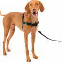 PetSafe Easy Walk No-Pull Dog Harness - The Ultimate Harness to Help Stop Pulling - Take Control & Teach Better Leash Manners - Helps Prevent Pets Pulling on Walks, Medium, Charcoal/Black