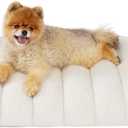 LE SURE Cute Orthopedic Dog Bed for Small Dogs, Waterproof Chic Flat Pet Beds with Removable Washable Cover, Fuzzy Thick Egg Crate Foam Pet Mat for Indoor Use (24" x 18", Cream)