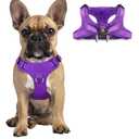 Dog Harness Step in Dog Vest Harness, Reflective Adjustable Puppy No Pull Harness Breathable Soft for Dogs Cats, Purple, Small