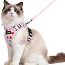 rabbitgoo Cat Harness and Leash for Walking, Escape Proof Soft Adjustable Vest Harnesses for Cats, Easy Control Breathable Reflective Strips Jacket, Purrty Pink, M
