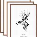 Yaetm 18x24 Picture Frames Set of 4, Walnut Brown, Solid Wood Frame 18 x 24 Frame for Gallery Wall, Photos, Posters & Art Prints, Wall Mount (4 pack, Walnut)