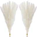 60 Pcs White Pampas Grass ,17 inch/45 cm Natural Dried Pampas Grass Branches Decor for Home Kitchen Garden Party Photographing Flower Arrangement Vase DecorWhite