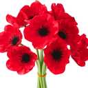 10PCS Red Artificial Poppy Flowers Fake PU Floral Stems Real Touch Silk Like Wedding Memorial Day Decor Bouquet Centerpieces Home Arrangements