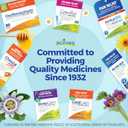 Boiron Arnicare Gel for Relief of Joint Pain, Muscle Pain, Muscle Soreness, and Swelling from Bruises or Injury - Non-greasy and Fragrance-Free - 2.6 oz (2.6 Ounce (Pack of 1))