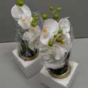 2 Pcs Orchids Artificial Flowers in Gold Ceramic Vase 13'' White Fake Flowers Phalaenopsis Faux Orchid for Home Office Wedding Party Dining Room Table Centerpiece Decoration