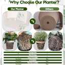 Hinwo 6-Pack Plastic Plant Pots with Drainage Holes and Saucers, 4.7 Inches Small Planters for Succulent, Orchid, General Plants, Flowerpots for Indoor, Outdoor Use, Carbon