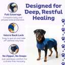 Surgi Snuggly Dog Surgery Recovery Suit - Dog Onesie for Post Surgery Recovery, Female Spay & Male Neuter - Surgical Suit for Dogs, E-Collar Cone Alternative, Double Blue - 2XL Small - 28" - 32" (EC)