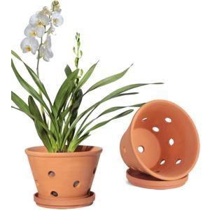 vensovo 8 Inch Terracotta Orchid Pots with Holes and Saucers - 2 Pcs Large Clay Planters for Repotting, Terra Cotta Pot for Plants Indoor and Outdoor Promotes Air Circulation, Brown 