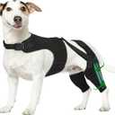 Dog Brace, size midium