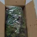 BAENRCY 32pcs 0.79-6.30inch Model Trees Mixed Size Miniature Trees Model Train Scenery Architecture Trees Model Scenery with No Stands(All Green)