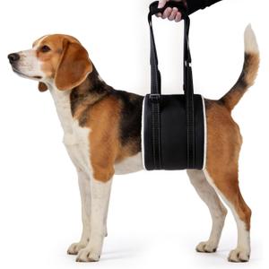 Dog Lift Harness, Adjustable Comfortable Dog Sling with Handle for Hind Leg Support Soft Lift Support and Rehab Harness for Weak Rear Legs, Helps Senior, Injured, Disabled and After ACL Surgery Dogs M