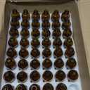 48 Pack 2oz Amber Glass Bottles with Glass Eye Droppers for Essential Oils, Perfumes & Lab Chemicals (Brush, Funnels, 2 Extra Droppers, 54 Pieces Labels & 30ml Measuring Cup Included)