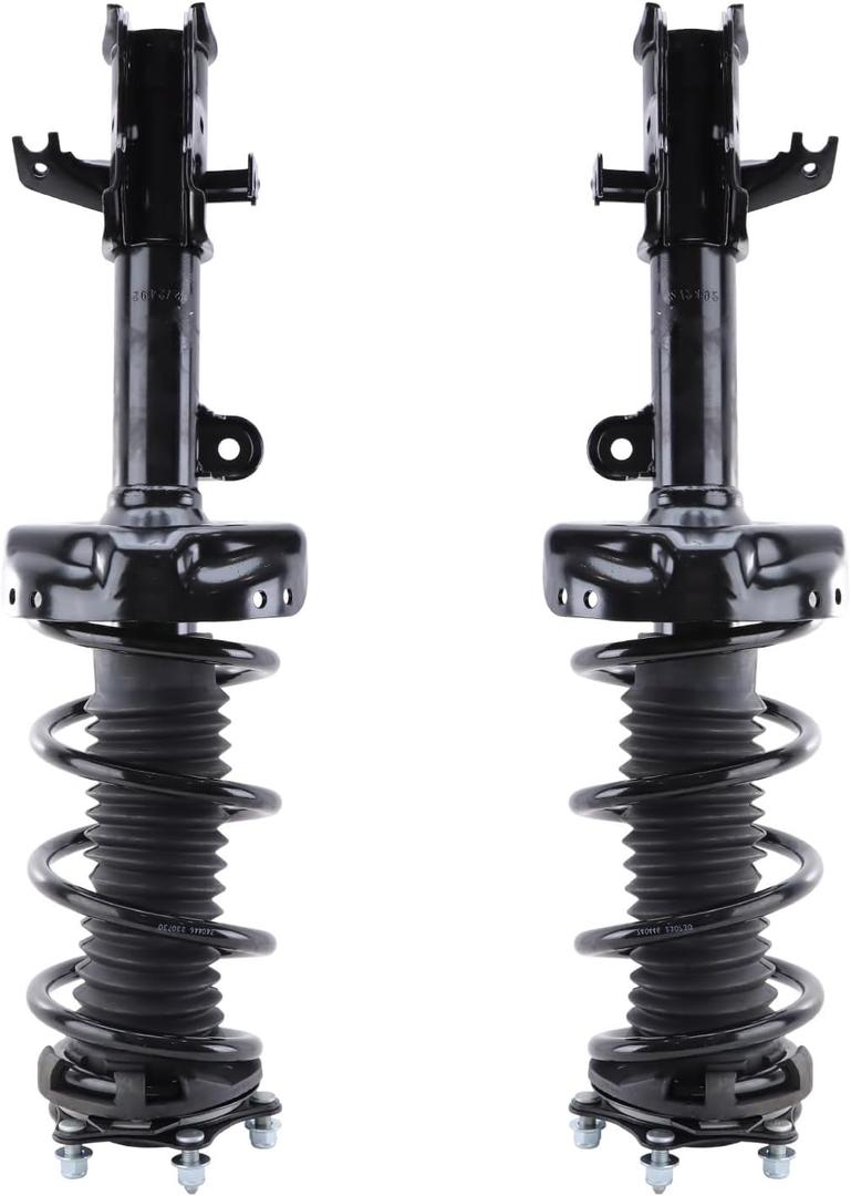 RAYTEN 272492/272491 Front Suspension Strut and Coil Spring Assembly
