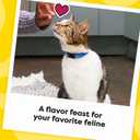 Temptations MixUps Catnip Fever Flavor Crunchy and Soft Cat Treats, 30 oz. Tub (1.88 Pound (Pack of 1))