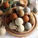 12 Pcs Neutral Matte Christmas Ball Ornaments 2.4 Inch Rustic Boho Brown Tan Ivory Beige Xmas Bulbs Ornament Vintage Xmas Baubles Modern Christmas Decor for Tree Farmhouse Holiday Decor