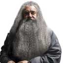 HOMELEX Grey Wizard Beard And Wig - Halloween Funny Father Time Costume Accessory for Adults