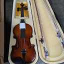 Cecilio Full Size 4/4 Violin with Hard Case & Shoulder Rest - Solidwood Ebony Fitted Violin with D'Addario Strings, Ideal for Beginners