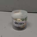 JOR Hermit Crab Shells, Medium and Large Growth Turbo Seashells, 1” - 2” Shell Opening Size, for Small and Medium Crabs in Terrarium and Aquarium, Craft Use, Hermit Crab Supplies & Conch Decor 6 pcs