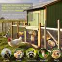 Chicken Wire Fencing, 24 Rifny 16.5 Inch x 60 Feet Chicken Wire Mesh Roll for Garden Plants, 1 Inch Mesh Hexagonal Galvanized Metal Poultry Wire Netting for Chicken Coop Rabbit Dogs Barrier