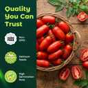 18 x 400 Heirloom San Marzano Tomato Seeds for Planting – Paste Tomato, Roma-Type, High Germination, Ideal for Home Garden, Sauce Making & Container (EXP 11/17/27)