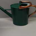 1 Gallon Metal Watering Can with Removable Spout, Nice Galvanized Steel Water Can with Embossed Design for Indoor and Outdoor Plants, Green