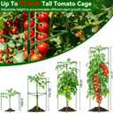 Halatool 57 Inch Tall Tomato Cages, 2 Pack Heavy Duty Metal Plant Supports Stakes for Garden, Adjustable Foldable Steel Trellis for Climbing Plants Cucumbers Peppers Cherry Flowers Vegetables Fruits