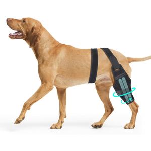 Dog ACL Knee Brace,Adjustable Rear Leg Support Brace, Cruciate Ligament Injury Recovery, Arthritis & Joint Pain Relief, XXL