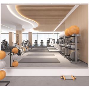 Home Gym Mirror,48"x24"-3PCS Frameless Full Body Wall Mirror Length Tempered Glass Mirror Wall-Mounted Mirror for Gym,Yoga,Bedroom,Bathroom,Exercise Room