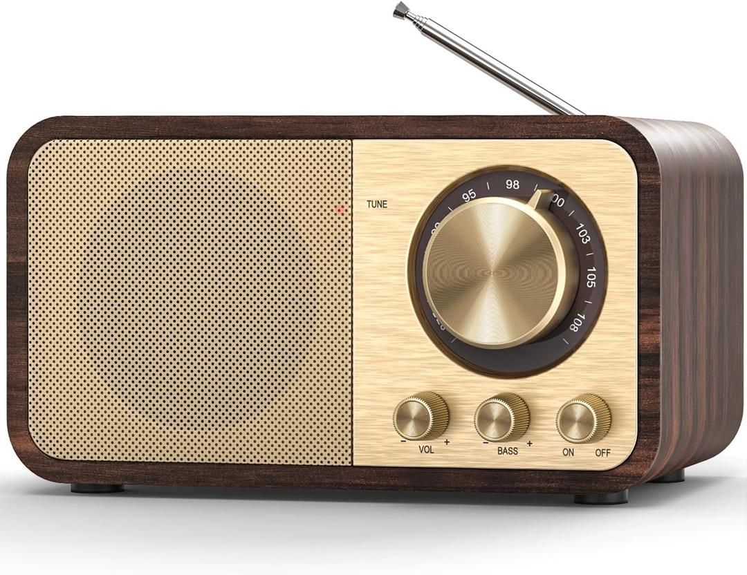 Tendak FM Radio with Best Reception, Portable Transistor Radio with 5W Speaker, Rechargeable Vintage Radios for Home Outdoor, Support TF Card Play, USB MP3 Player, AUX, Bass Mode