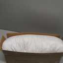 Feather Throw Pillow Insert, Soft Fluffy Square 20 x 20 Inches Decorative Pillow Insert, Feather and Down Euro Pillows for Bed, Couch and Cushion