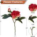 2 PCS Premium White Peonies Artificial Flowers,19.2Fake Faux Silk Peonies for Centerpieces Wedding Home Decor (2, Coral)