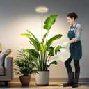 Kullsinss Grow Lights for Indoor Plants, Full Spectrum Plant Lights for Indoor Growing with 6/12/16H Timer, 3 Color Modes, 5 Brightness, 10"-65" Height Adjustable Wood Grain Plant Growing Lamp