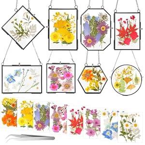 Barydat 8 Set Glass Pressed Flower Frames 8 Different Shapes Hanging Photo Picture Frame Gift with 8 Bag Dried Flowers Chains for Artwork Frame Home Wall Decor Plant Specimen Photo Display(Black)