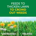 Scotts Turf Builder Weed and Feed5 - Weed Killer Plus Lawn Fertilizer, Lawn Weed Killer, Controls Dandelion and Clover, Grass Fertilizer for Up to 4,000 sq. ft., 11.32 lb.